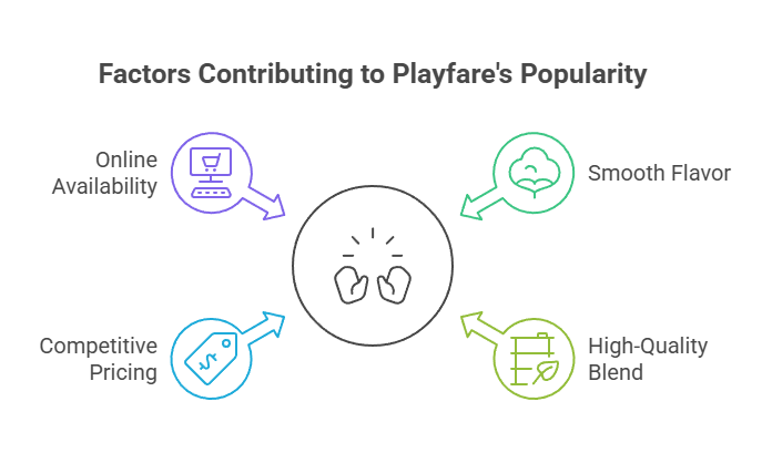 Playfare's Lights 5 Factors Contributing to Playfare's Popularity