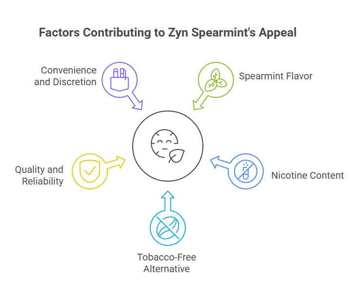 Zyn Spearmint Pouches 6mg 4 Factors Contributing to Zyn Spearmint's Appeal