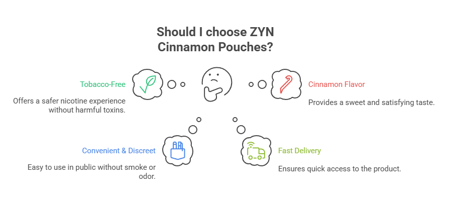Zyn Cinnamon Pouches 6mg 4 Should I choose ZYN Cinnamon Pouches
