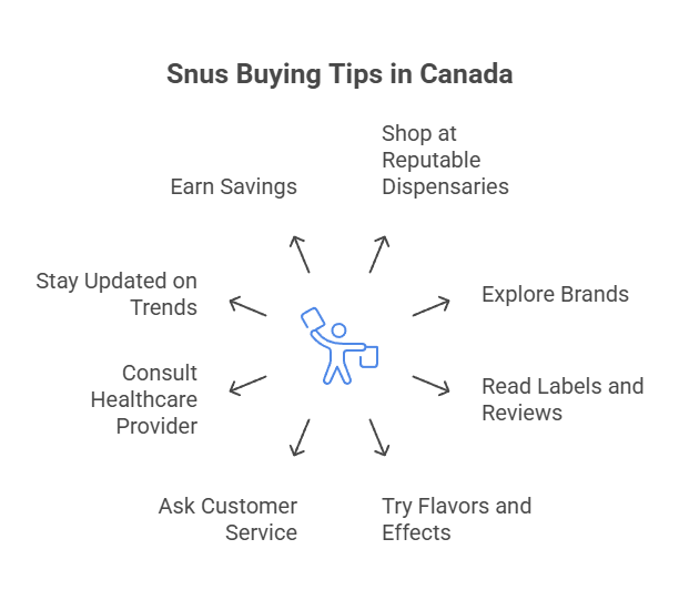 Where to Buy Snus in Canada 5 Snus Buying Tips in Canada