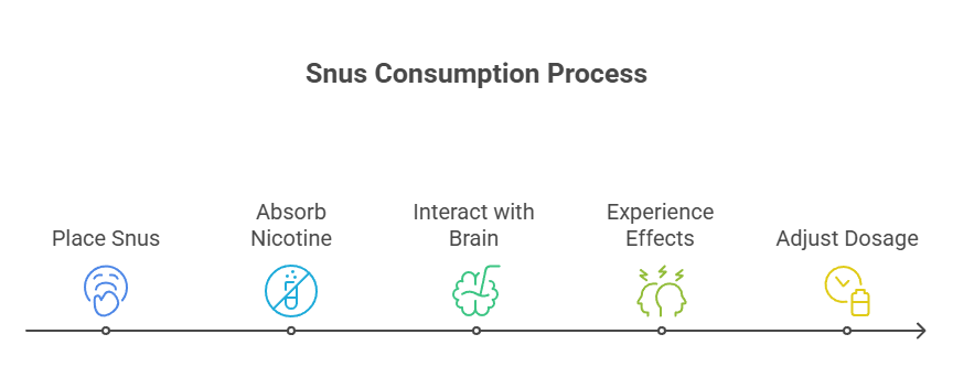 Where to Buy Snus in Canada 4 Snus Consumption Process