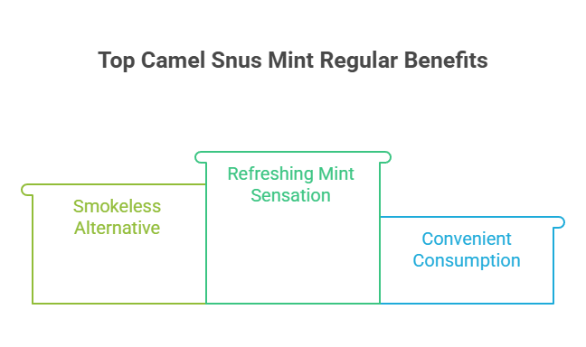 Camel Snus Mint Regular 2 Top Camel Snus Mint Regular Benefits