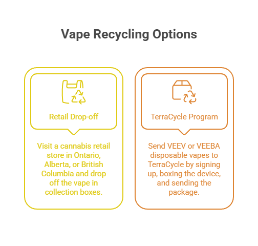 How to Dispose of Vapes: Doing the Right Thing 3 Vape Recycling Options
