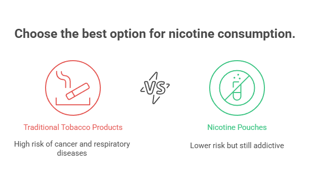 Are Nicotine Pouches Safe? 2 Choose the best option for nicotine consumption.