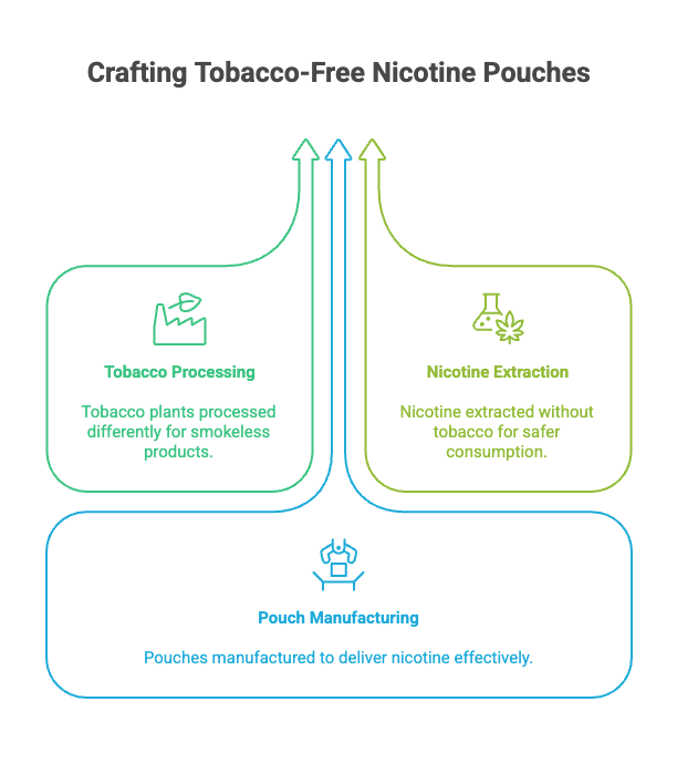 How Are Nicotine Pouches Made? 2 Crafting Tobacco-Free Nicotine Pouches