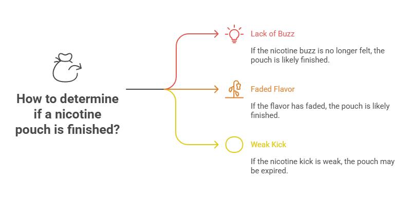 How Long Do Nicotine Pouches Last? 4 How to determine if a nicotine pouch is finished