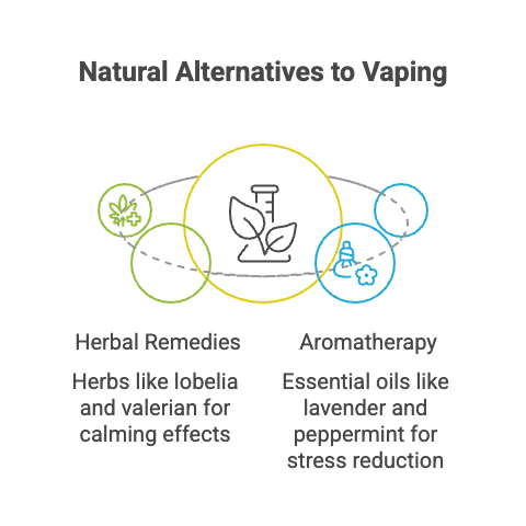 Alternatives to Vaping 4 Natural Alternatives to Vaping