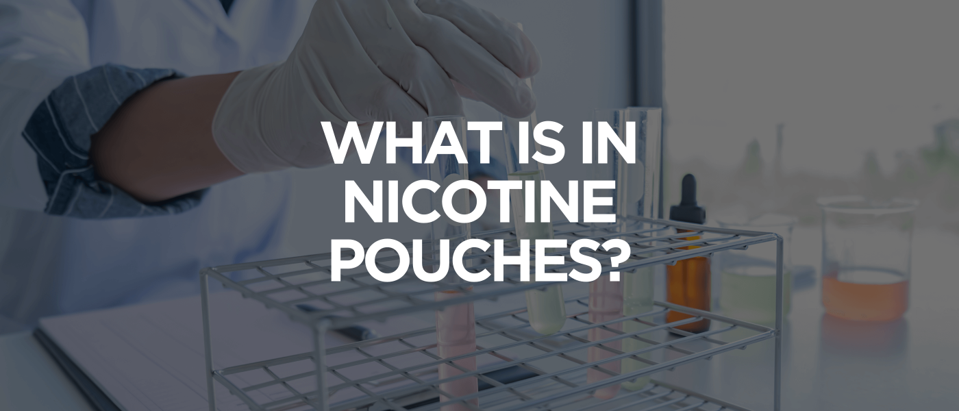 What Is in Nicotine Pouches