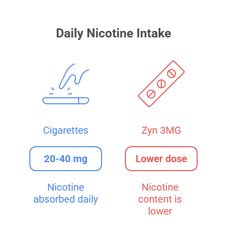 Zyn vs Cigarettes 3 Daily Nicotine Intake