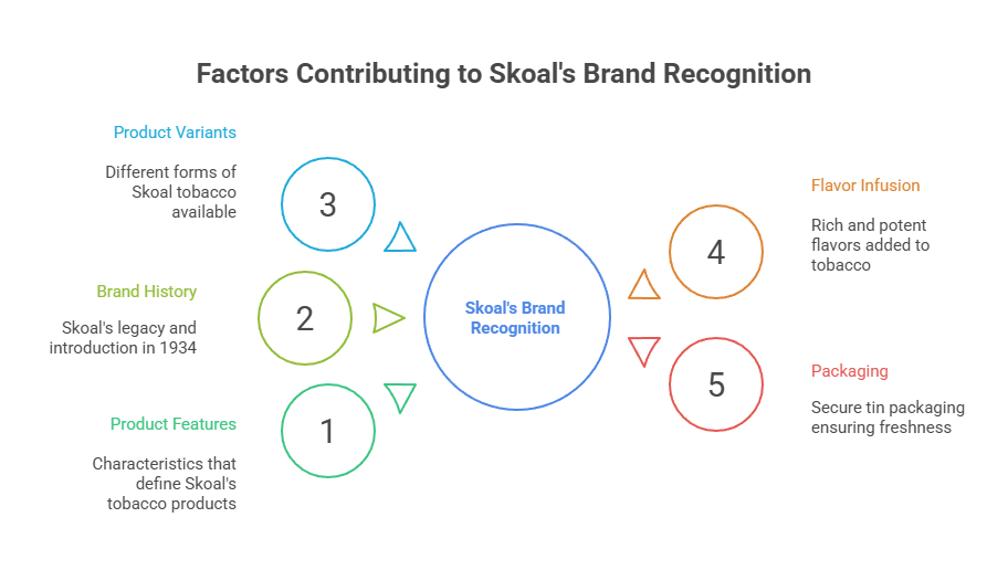 Factors Contributing to Skoal's Brand Recognition
