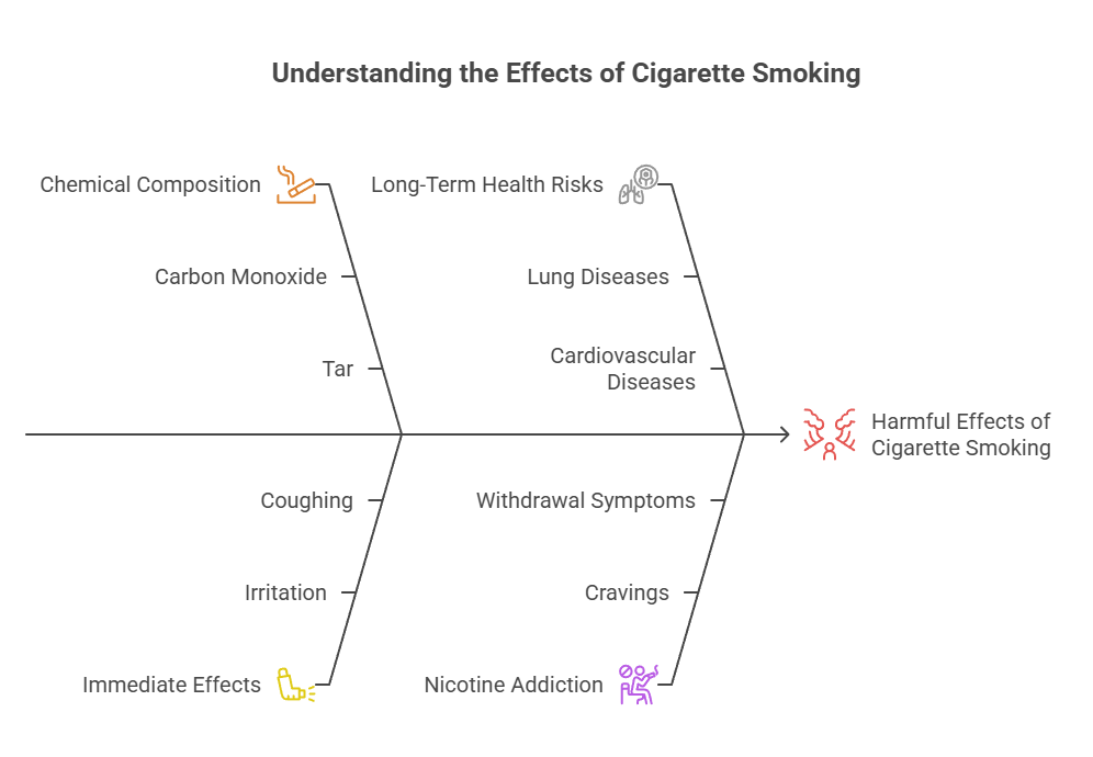 Do Cigarettes Get You High? 2 Understanding the Effects of Cigarette Smoking