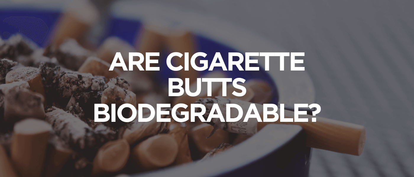 Are Cigarette Butts Biodegradable
