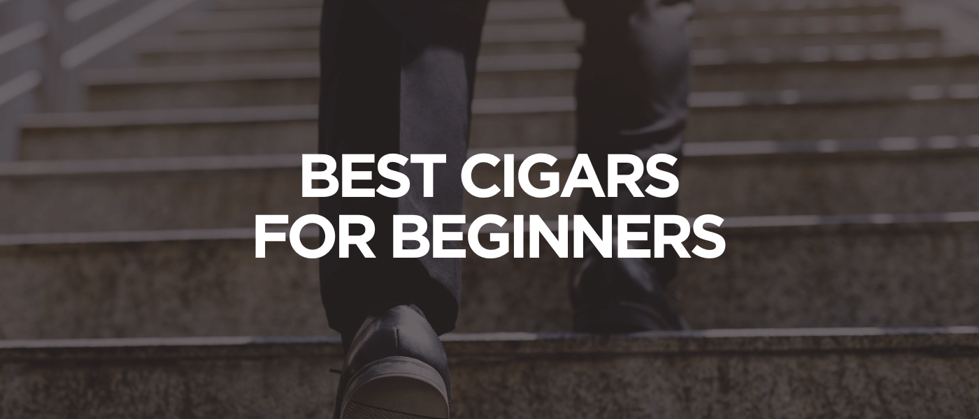 Best Cigars for Beginners
