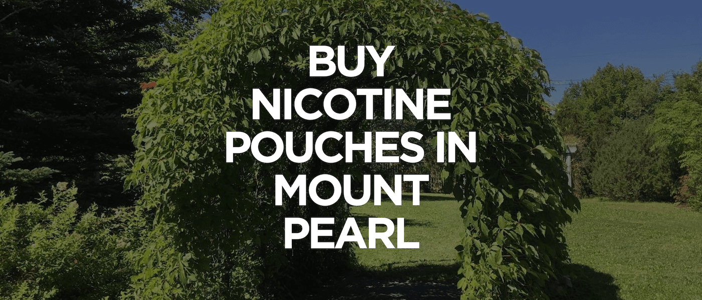 Mount Pearl 1 Buy Nicotine Pouches In Mount Pearl