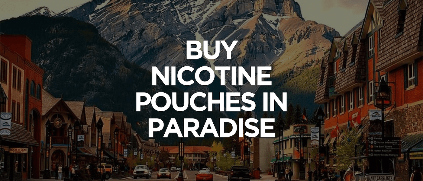 Paradise 1 Buy Nicotine Pouches In Paradise