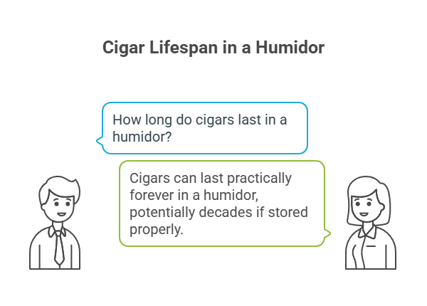 How Long Do Cigars Last? 2 Cigar Lifespan in a Humidor