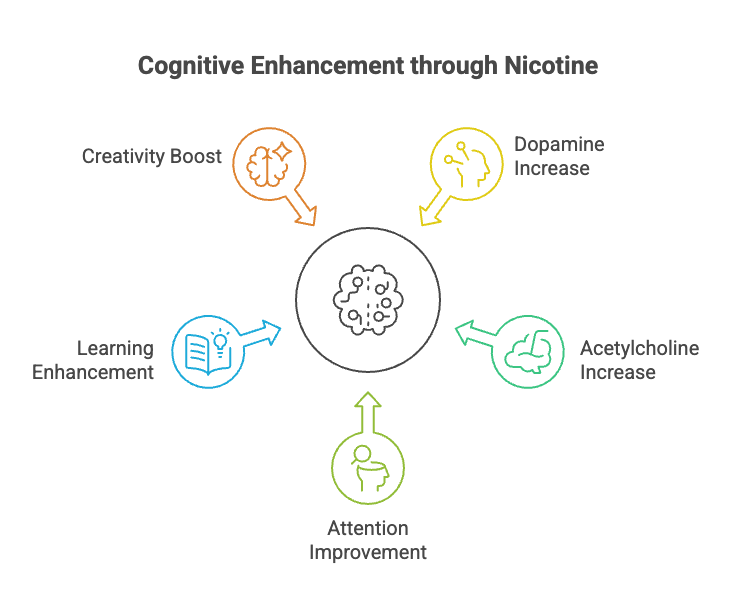 10 Health Benefits of Nicotine 7 Cognitive Enhancement through Nicotine