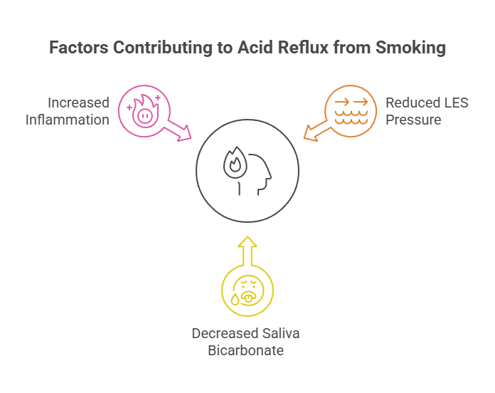 Can Cigarettes Cause Acid Reflux? 2 Factors Contributing to Acid Reflux from Smoking