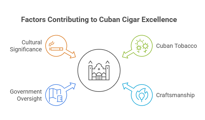 What Are Cigars Made Of? 2 Factors Contributing to Cuban Cigar Excellence