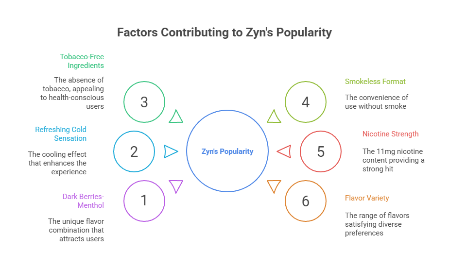 Factors Contributing to Zyn's Popularity