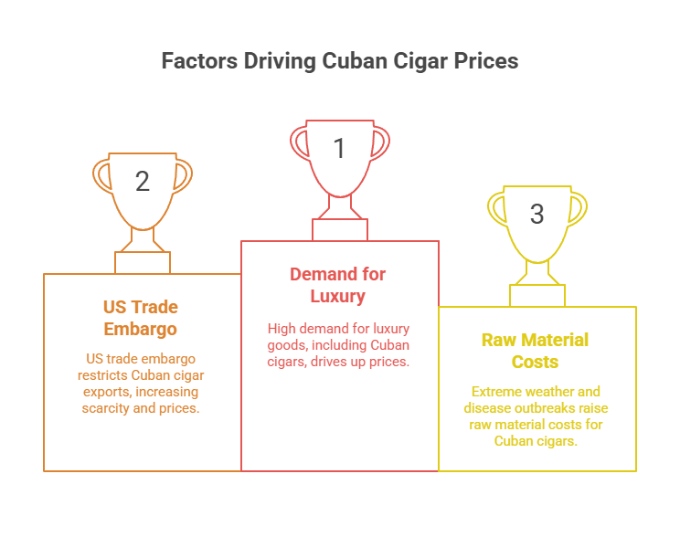 Why Are Cigars So Expensive? 3 Factors Driving Cuban Cigar Prices
