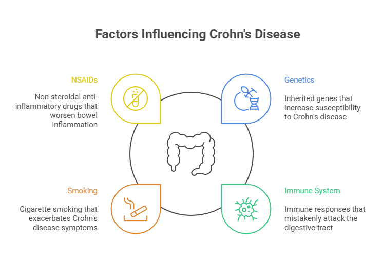 Do Cigarettes Help With Inflammatory Bowel? 3 Factors Influencing Crohn's Disease