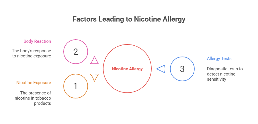 Can You Be Allergic to Cigarette Smoke? 2 Factors Leading to Nicotine Allergy