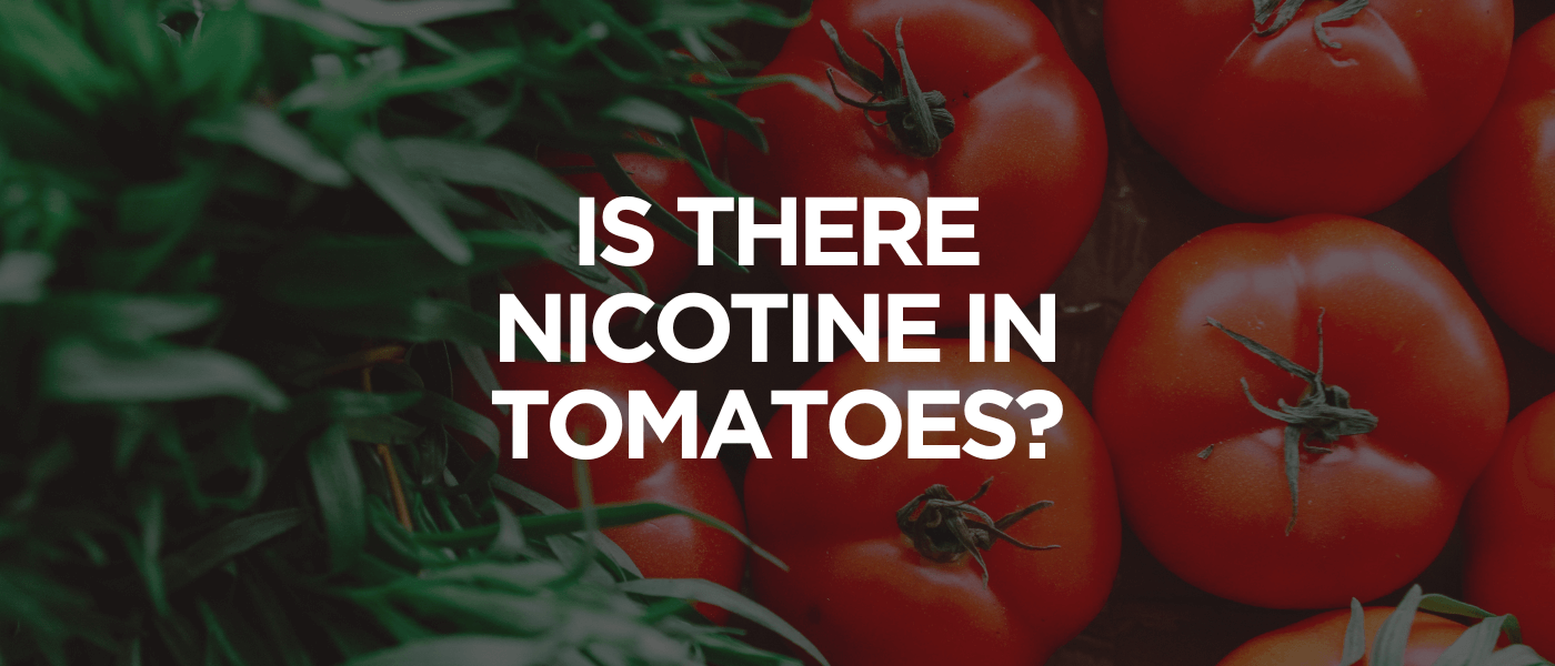 Is There Nicotine in Tomatoes