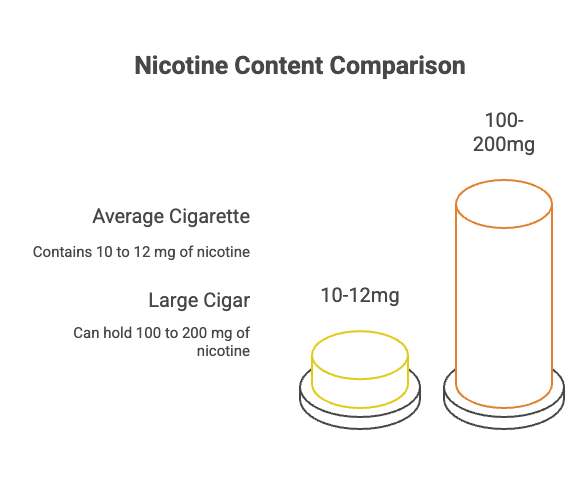Do Cigars Have Nicotine? 31 Nicotine Content Comparison