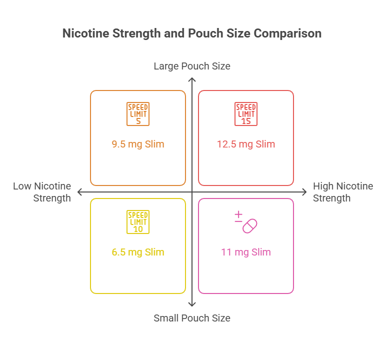 Nicotine Strength and Pouch Size Comparison