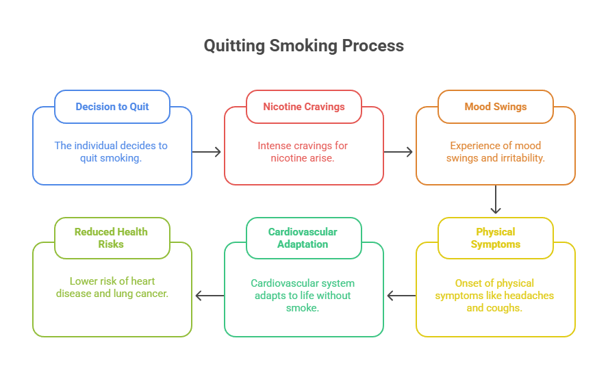 Quitting Cigarettes Timeline 4 Quitting Smoking Process