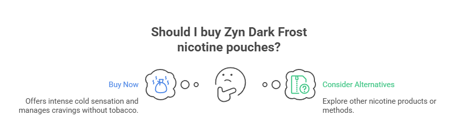Should I buy Zyn Dark Frost nicotine pouches