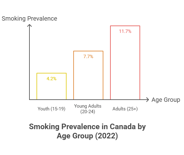 Why Are Cigarettes So Expensive in Canada? 2 Smoking Prevalence in Canada by Age Group (2022)