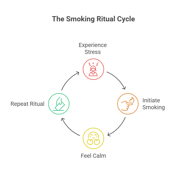 10 Advantages of Smoking Cigarettes 3 The Smoking Ritual_Cycle