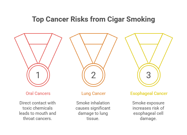 Do Cigars Cause Cancer? 2 Top Cancer Risks from Cigar Smoking