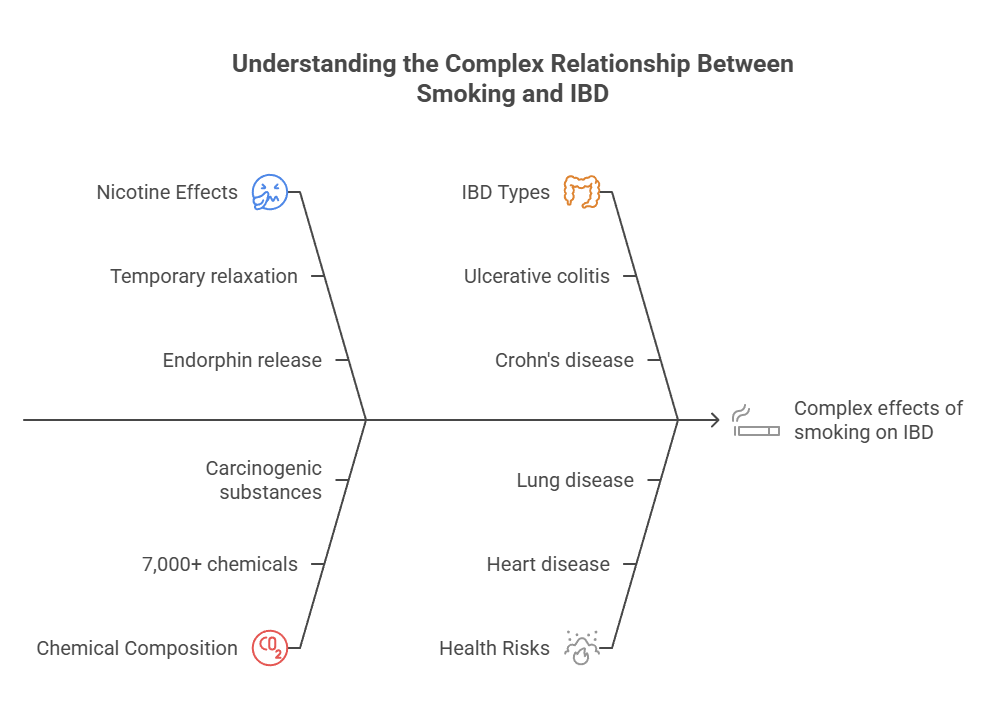 Do Cigarettes Help With Inflammatory Bowel? 2 Understanding the Complex Relationship Between Smoking and IBD