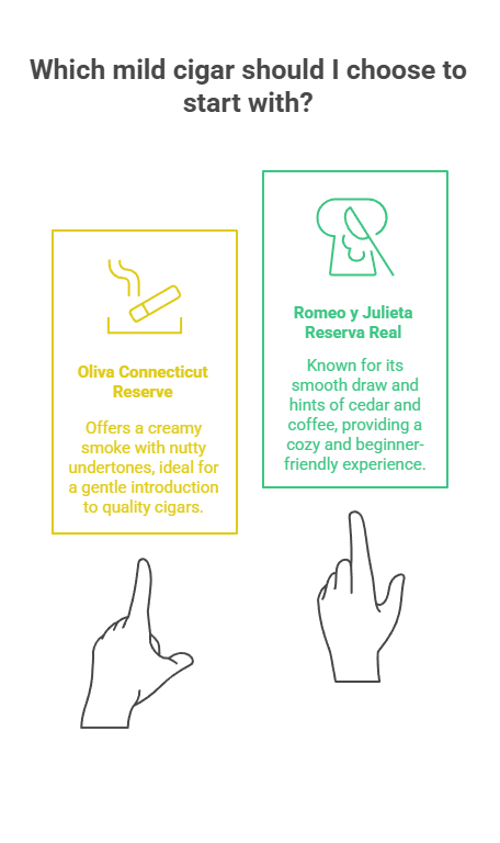 Best Cigars for Beginners 2 Which mild cigar should I choose to start with