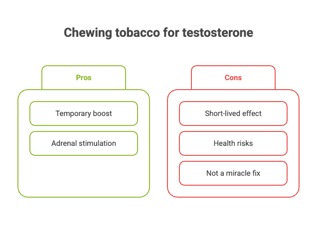 Does Chewing Tobacco Increase Testosterone? 2 Chewing tobacco for testosterone