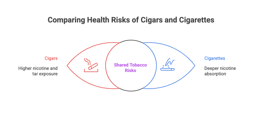 Are Cigars Worse Than Cigarettes? 2 Comparing Health Risks of Cigars and Cigarettes