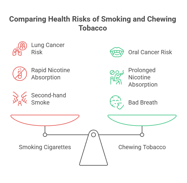 Is Chewing Tobacco Better Than Smoking? 2 Comparing Health Risks of Smoking and Chewing Tobacco
