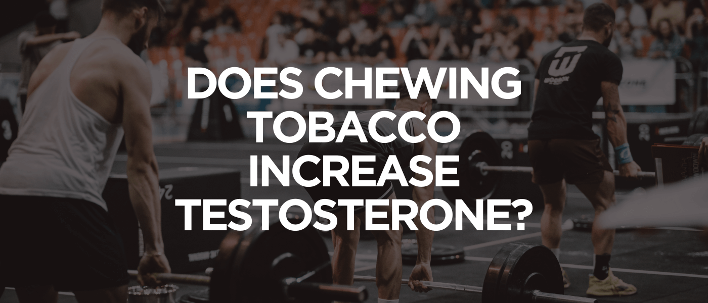 Does Chewing Tobacco Increase Testosterone