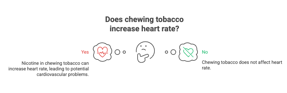 Does Chewing Tobacco Raise Blood Pressure? 4 Does chewing tobacco increase heart rate?
