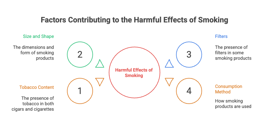 Are Cigars Worse Than Cigarettes? 4 Factors Contributing to the Harmful Effects of Smoking