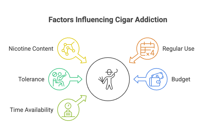 Factors Influencing Cigar Addiction