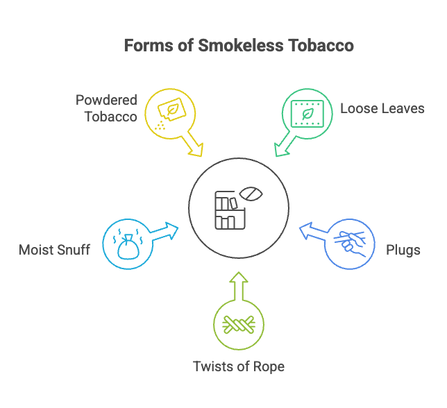 10 Facts About Chewing Tobacco 4 Forms of Smokeless Tobacco