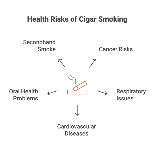 Are Cigars Bad for You? 2 Health Risks of Cigar Smoking