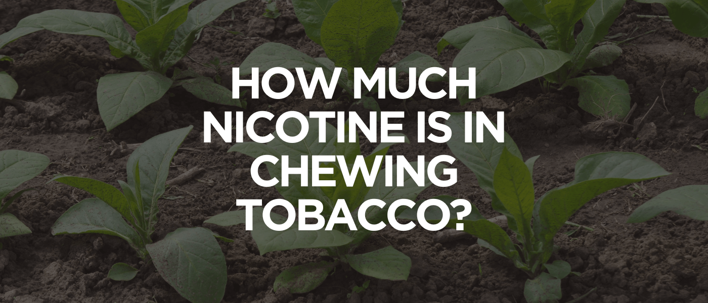 How Much Nicotine Is in Chewing Tobacco
