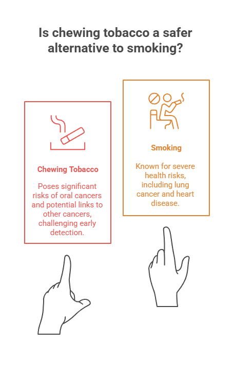Is chewing tobacco a safer alternative to smoking