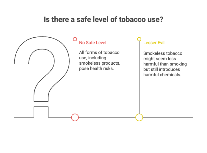 10 Facts About Chewing Tobacco 2 Is there a safe level of tobacco use?