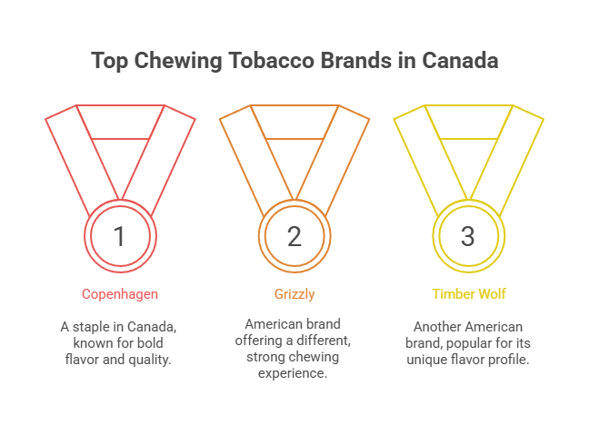 What Is The Strongest Chewing Tobacco? 3 Top Chewing Tobacco Brands in Canada